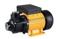 1.5HP  Domestic Electric Motor Water Pump with Max Pressure 10 Bar Suction Head